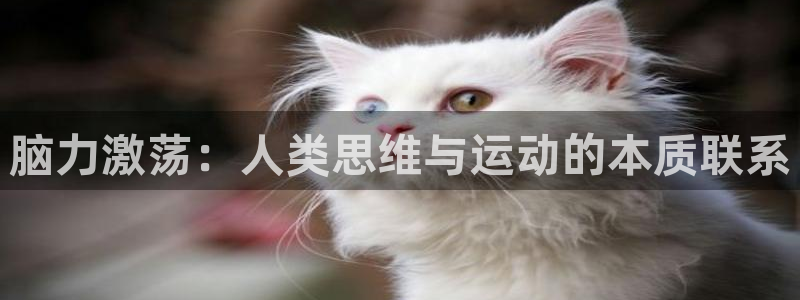 黑白体育下载官网：脑力激荡：人类思维与运动的本质联系
