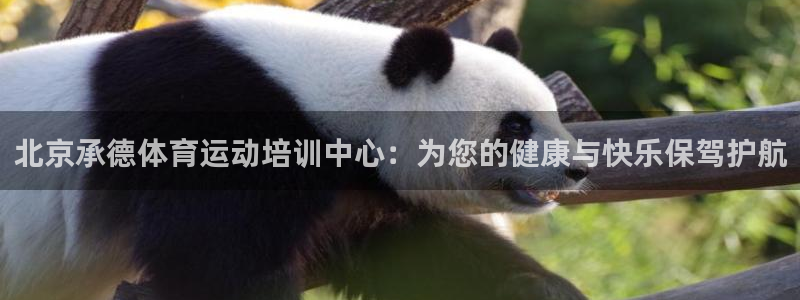 黑白体育ios下载：北京承德体育运动培训中心：为您的健康与快乐保驾护航