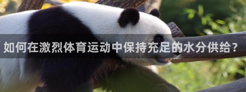 黑白体育录像全场回放：如何在激烈体育运动中保持充足的水分供给？