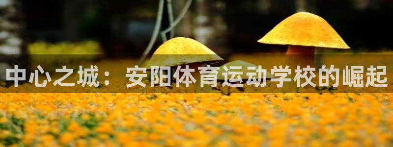 黑白体育jrs直播：中心之城：安阳体育运动学校的崛起
