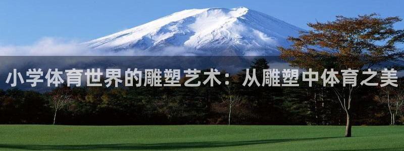 黑白体育直播在线：小学体育世界的雕塑艺术：从雕塑中体育之美