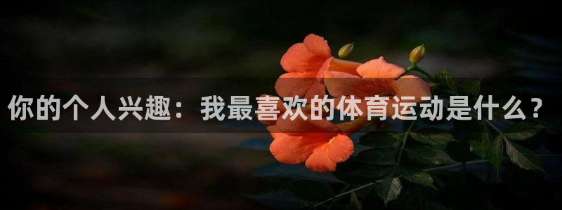 黑白体育下载最新版本：你的个人兴趣：我最喜欢的体育运动是什么？