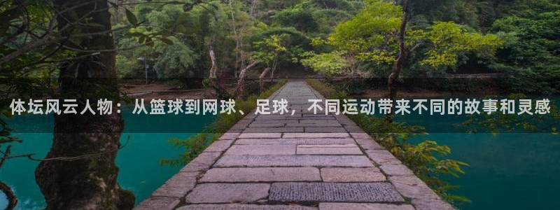 黑白体育欧洲杯：体坛风云人物：从篮球到网球、足球，不同运动带来不同的故事和灵感