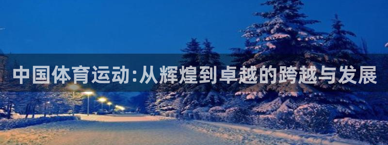 黑白体育回放免费播放：中国体育运动:从辉煌到卓越的跨越与发展